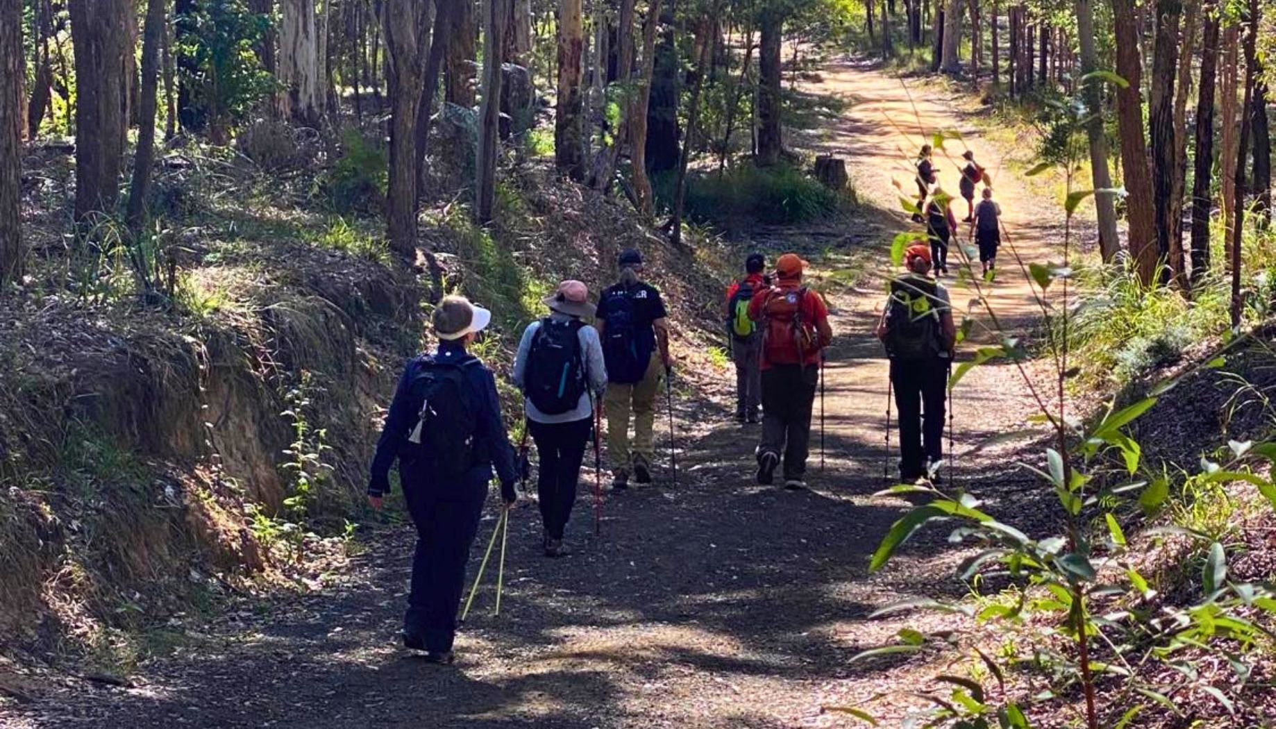 Womens hiking group on White Rock Ridge Track-1