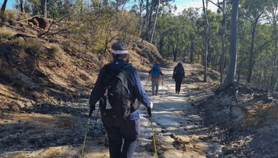 Womens hiking group on White Rock Ridge Track