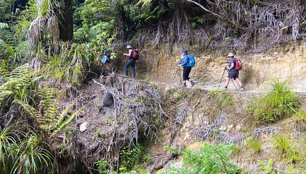Womens hiking group on the Abel Tasman trail (5)