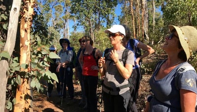 Womens hiking group on the Eagle view trail (3)