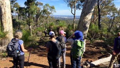 Womens hiking group on the Eagle view trail (4)