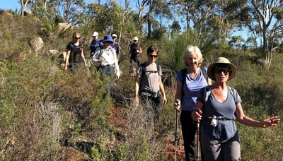 Womens hiking group on the Eagle view trail
