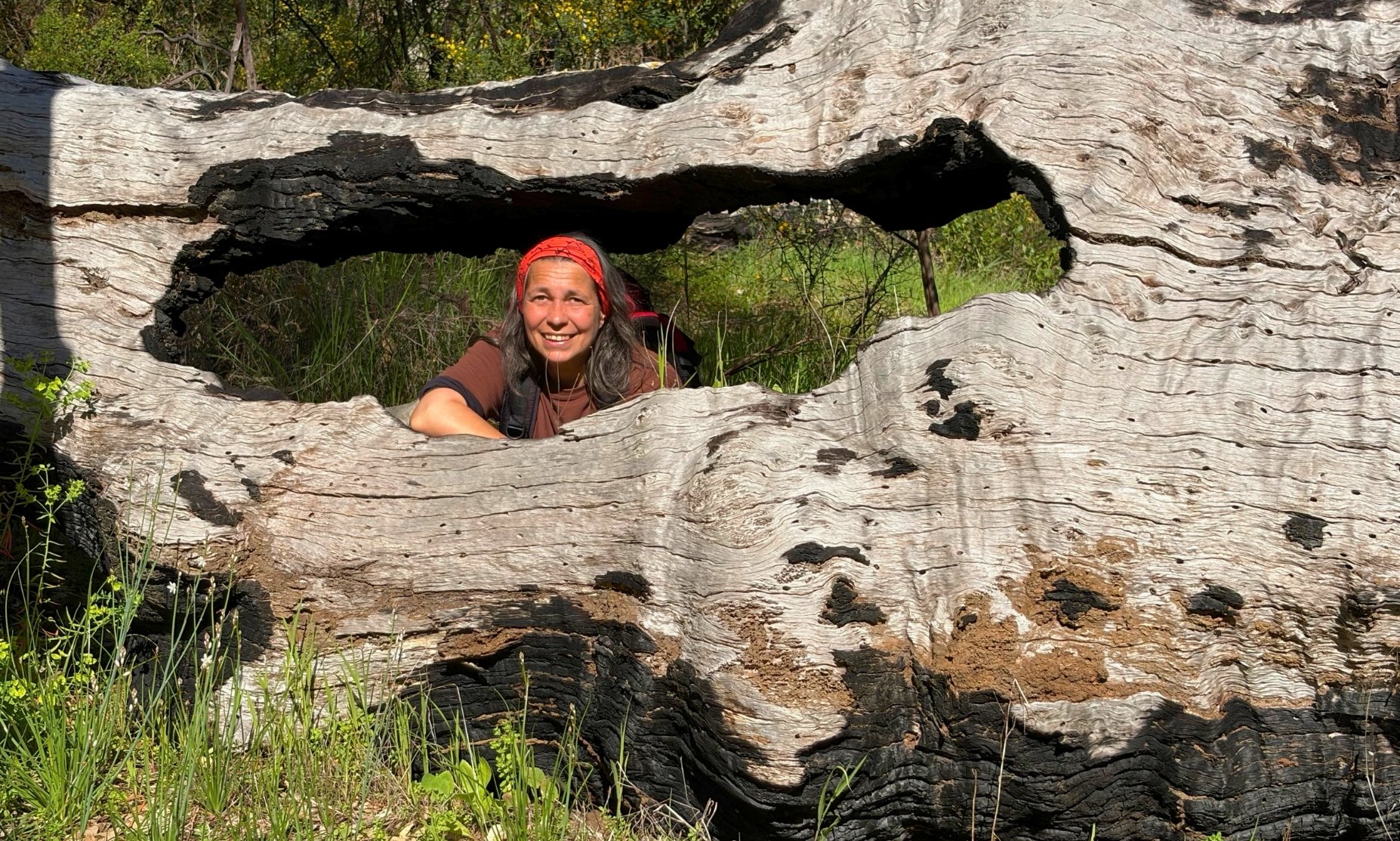 Yanchep National Park - Hero