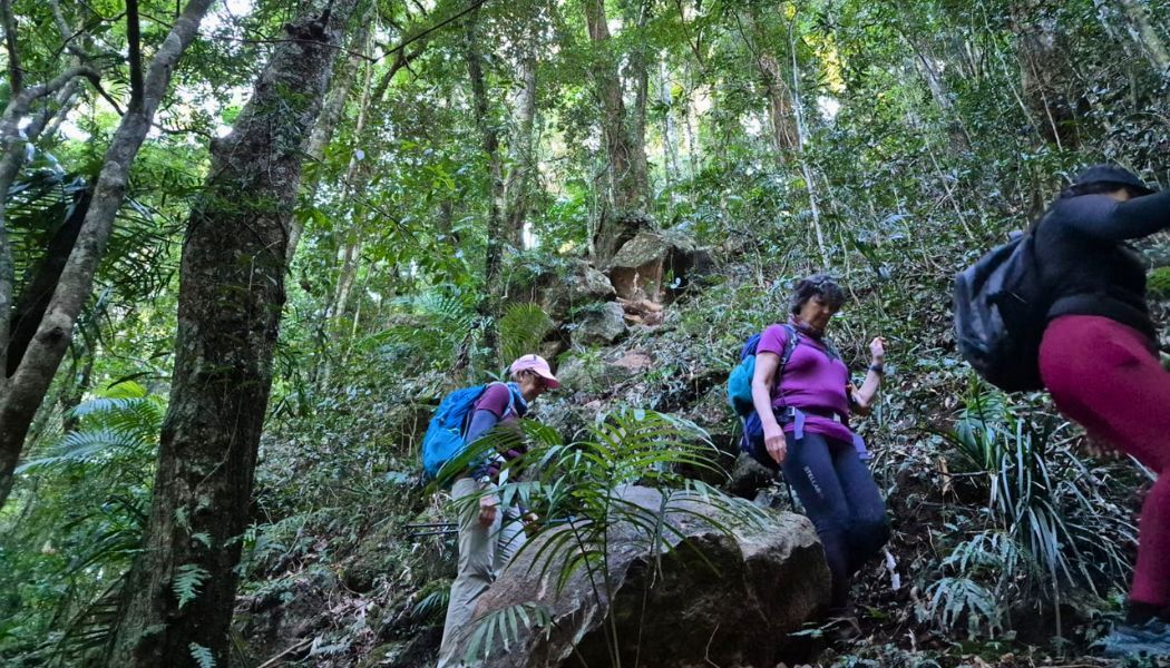 On the trails of Warrie Circuit