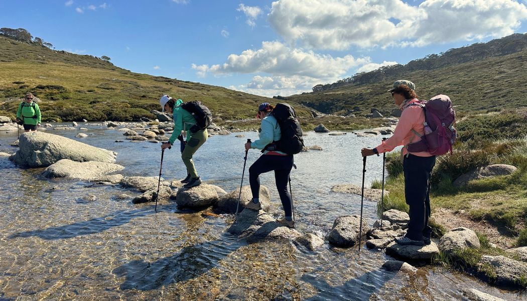 Stream crossing