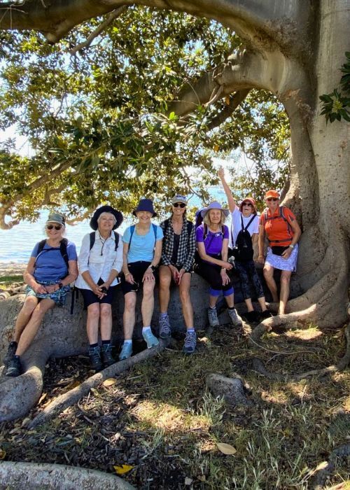 Womens hikiHiking group relaxing under a tree