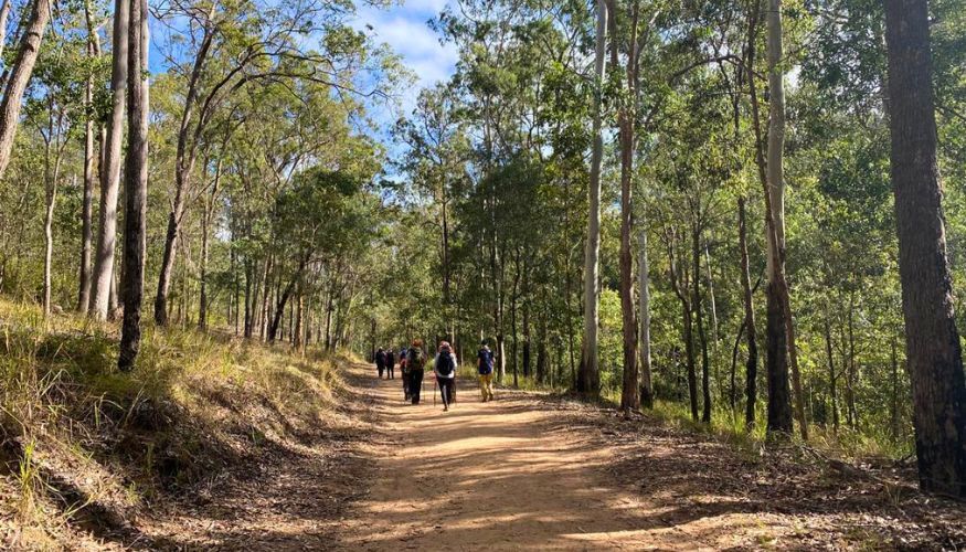 Womens hiking group on White Rock Ridge Track (3)