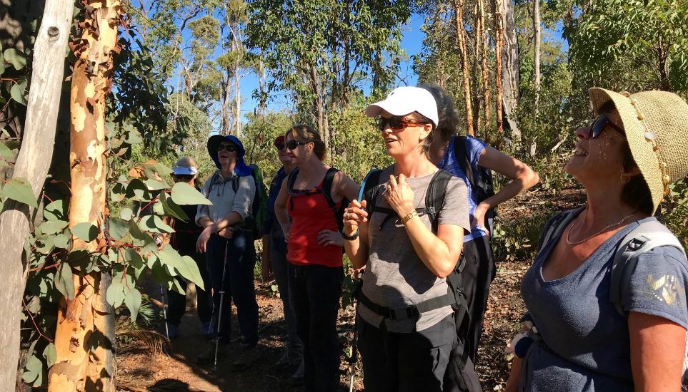 Womens hiking group on the Eagle view trail (3)