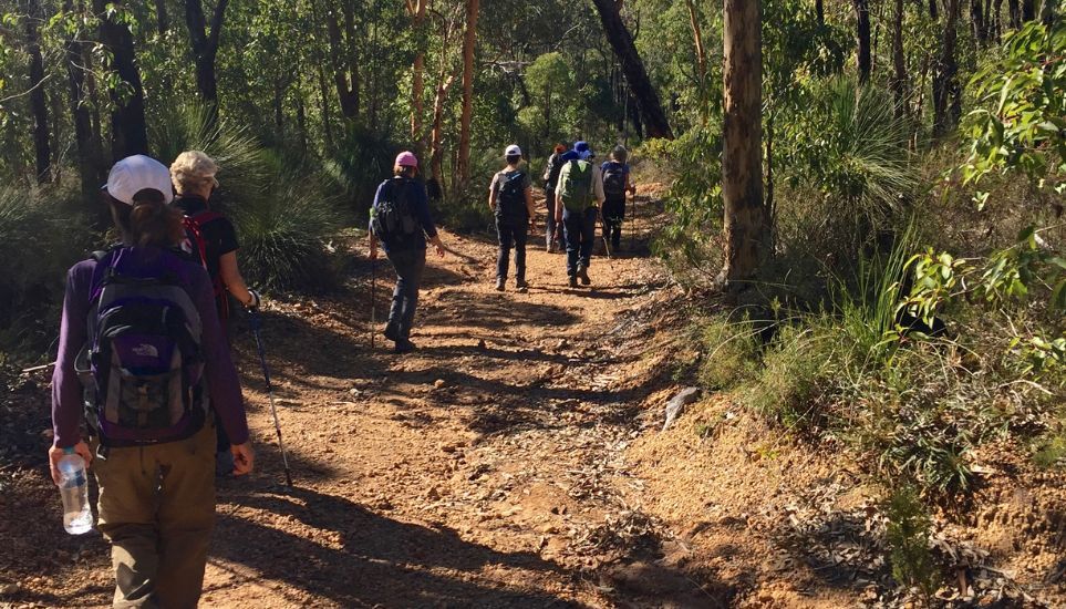 Womens hiking group on the Eagle view trail (5)