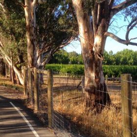 Adelaide Hills Cycling Adventure