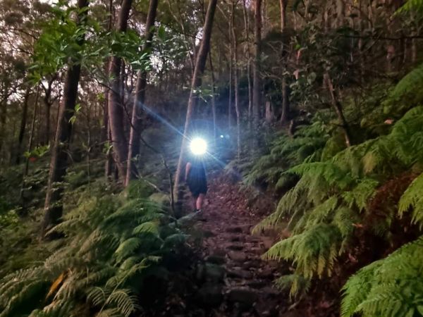 Walking through the forest with head torch
