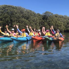 Dolphin Sanctuary and Ships Graveyard Kayak Tour inc Lunch