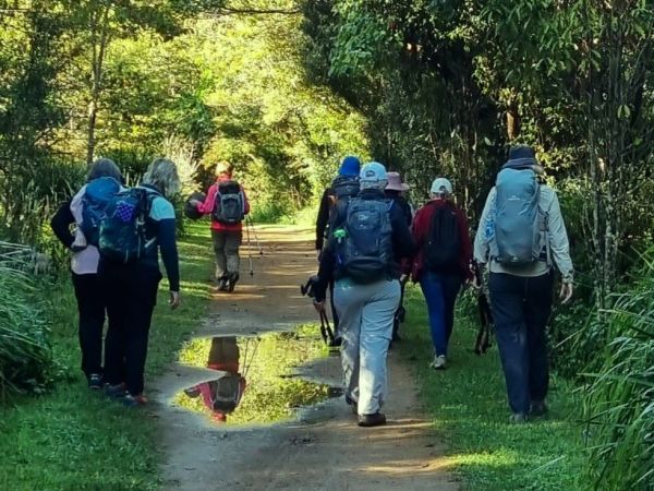 Following the Maleny trail