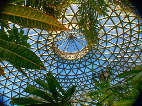 Tropical Display Dome