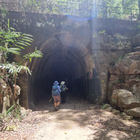 Dularcha National Park - Home to the Abandoned Rail Tunnel June 2024