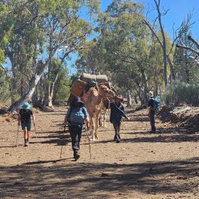 Women's Outback Camel Trek