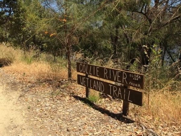 Collie River Wetland Trail Signage