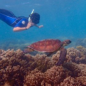 Ningaloo Reef Adventure Escape (Mixed Departure)