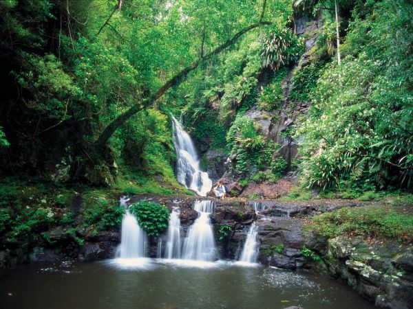 Waterfall - Image courtesy Tourism and Events Queensland