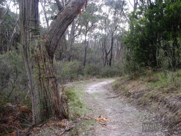 Measeday Lookout Trail - Image courtesy of walkingsa.org.au