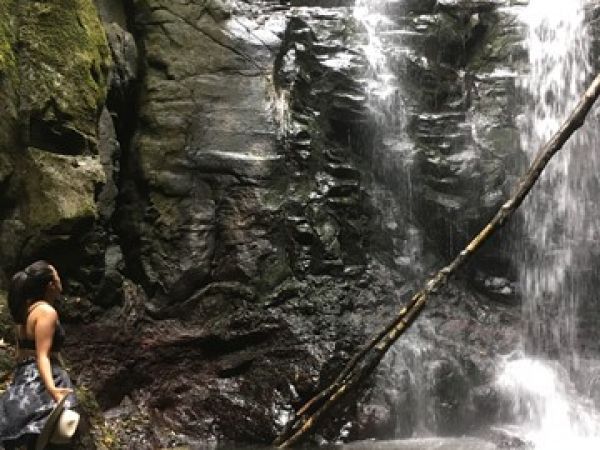 Box log falls -  Image courtesy State of Queensland
