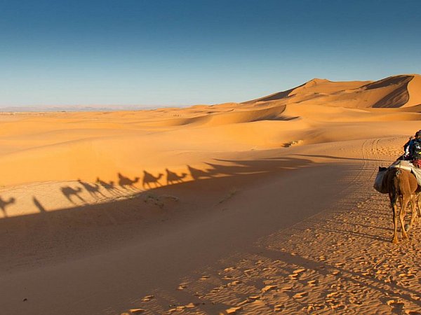 Crossing the Sahara on Camel