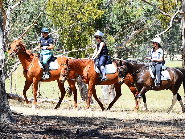 Trail Ride passing through the local bushland