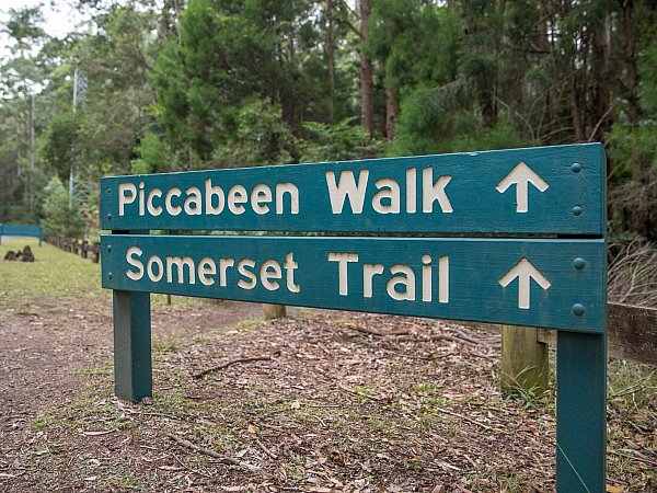 Somerset walk sign