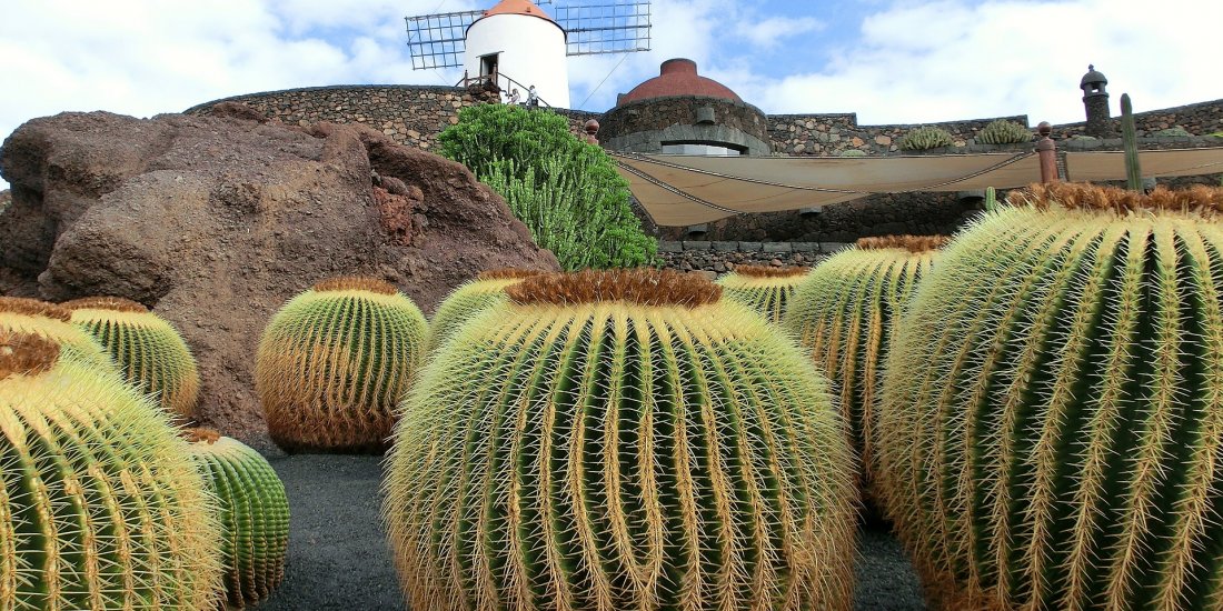 Lanzarote: Land of Caves, Craters and Cactus