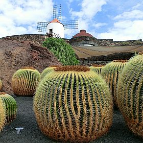 Lanzarote: Land of Caves, Craters and Cactus