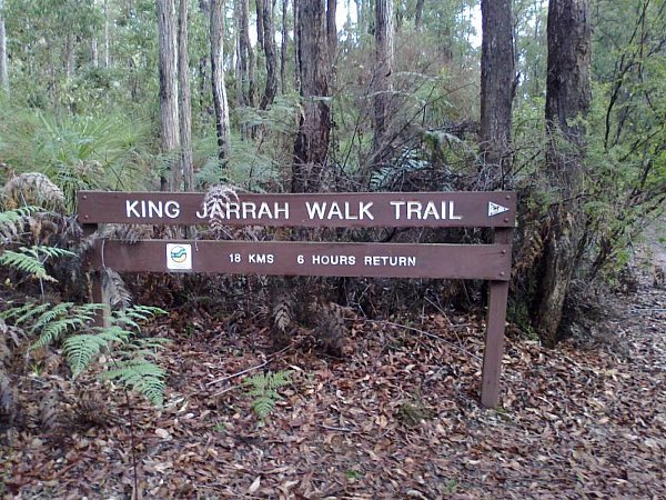 King Jarrah Trail Head