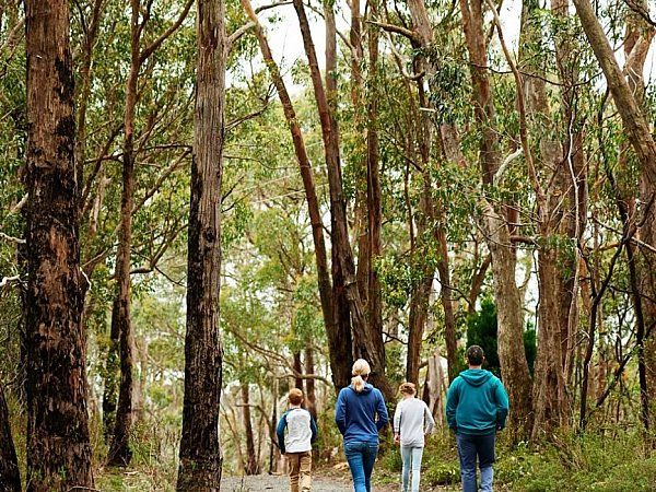 Mt Lofty Walking Trail - South Australian Tourism Commision